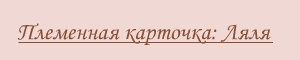 Заголовок