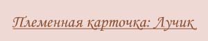 Заголовок