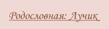 Заголовок